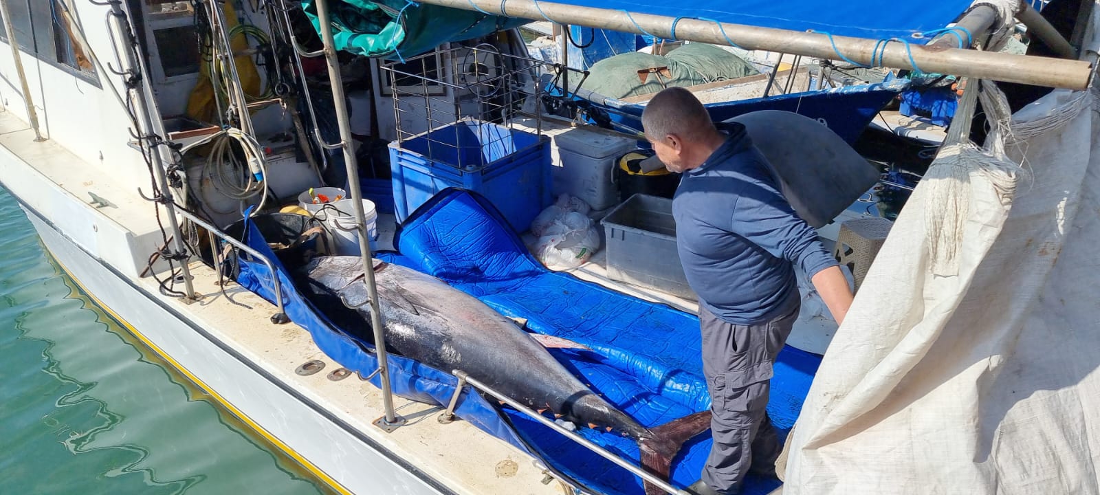 WhatsApp Image 2022-05-25 at 4.38.58 PM (1).jpeg